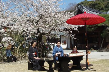 春の茶会（野点席）