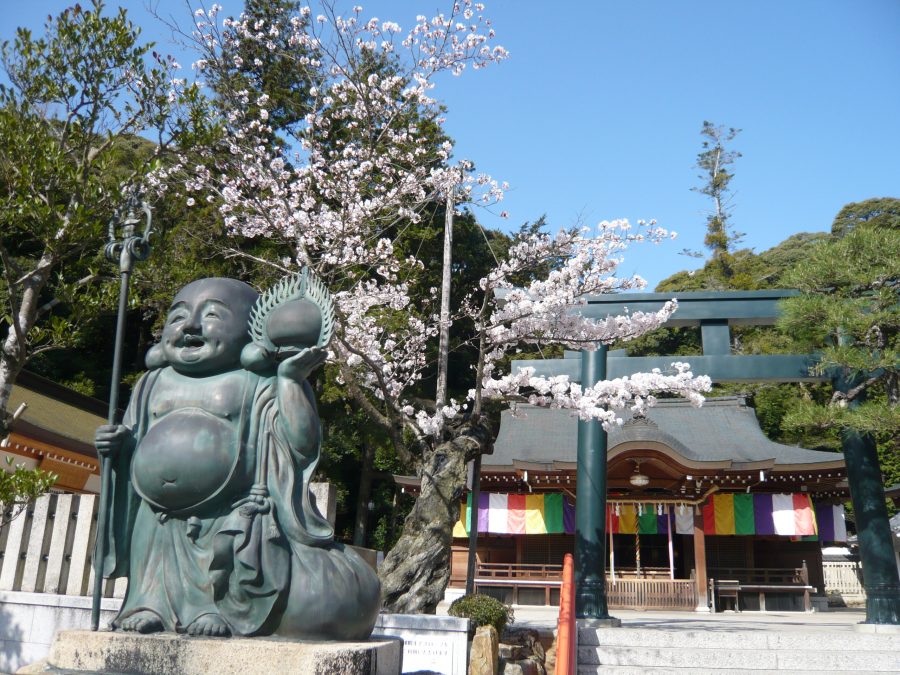 拝殿と布袋尊と桜