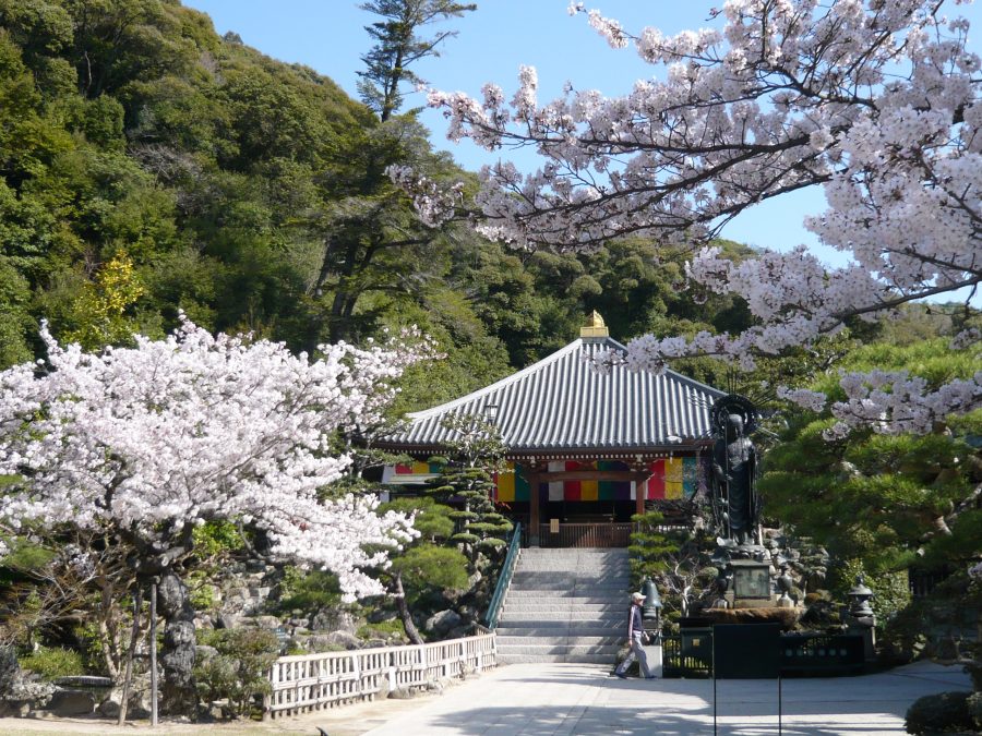 本堂、一願地蔵尊と桜