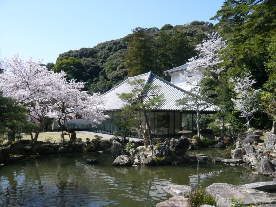 史料館、池苑と桜