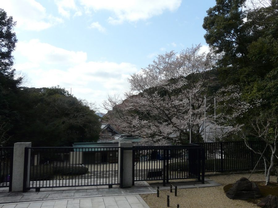 淡墨桜と甲山