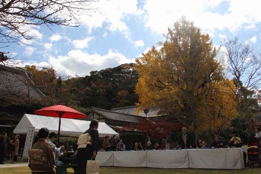 樹齢推定４００年の大イチョウ