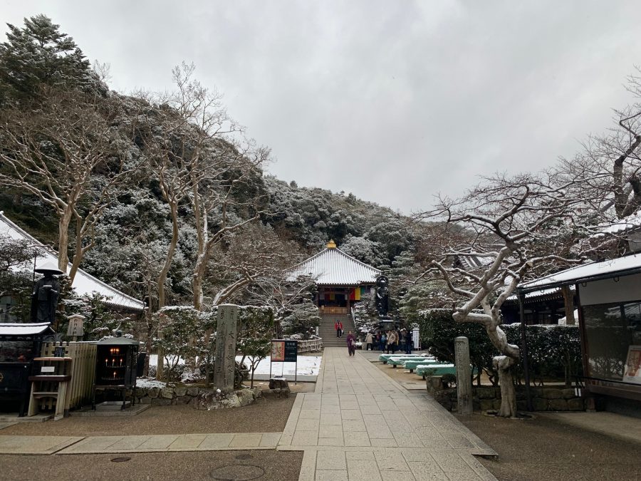 昨夜からの雪