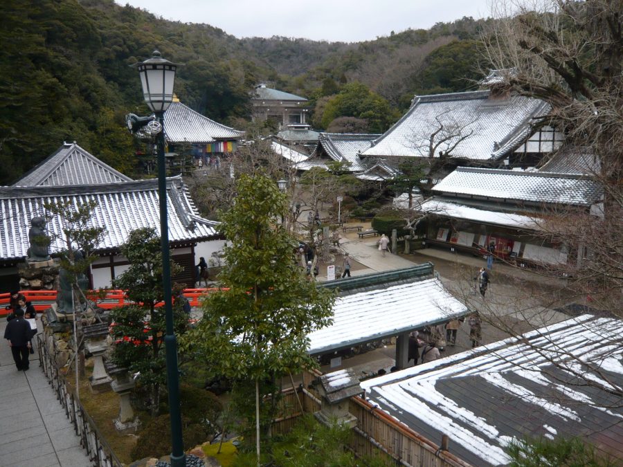 昨夜からの雪