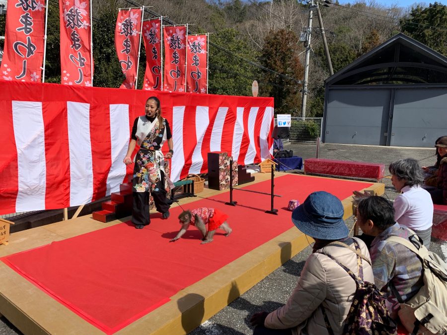 昨日、第１駐車場での猿まわし