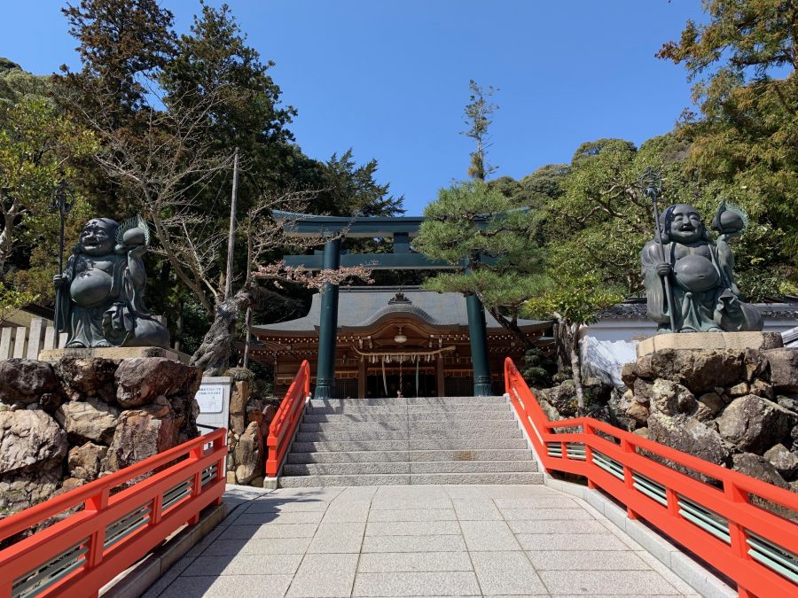 拝殿、鳥居横の桜