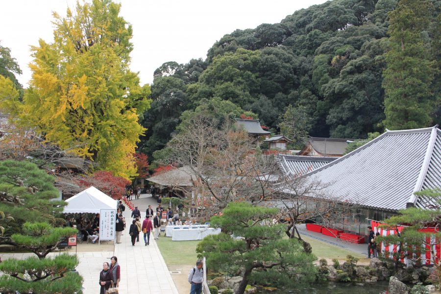 昨年の秋の茶会