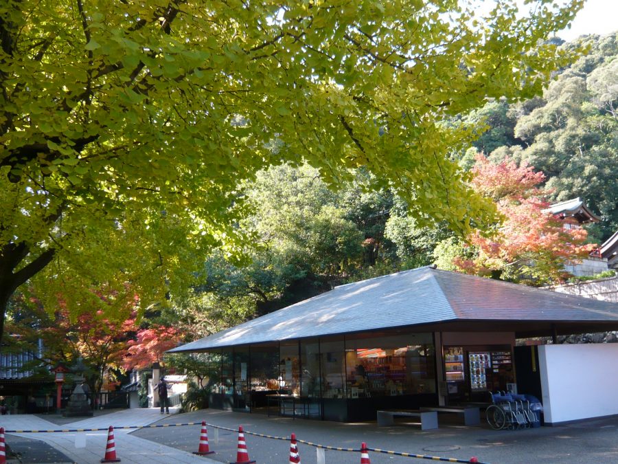 売店まわりのイチョウ、モミジ