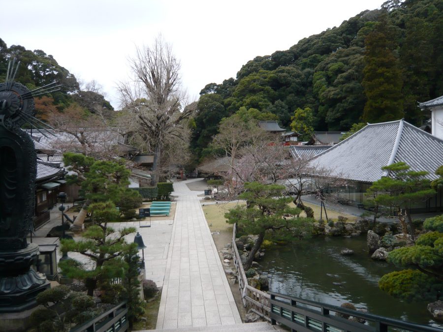 境内の風景