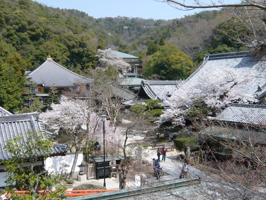 満開の境内の桜