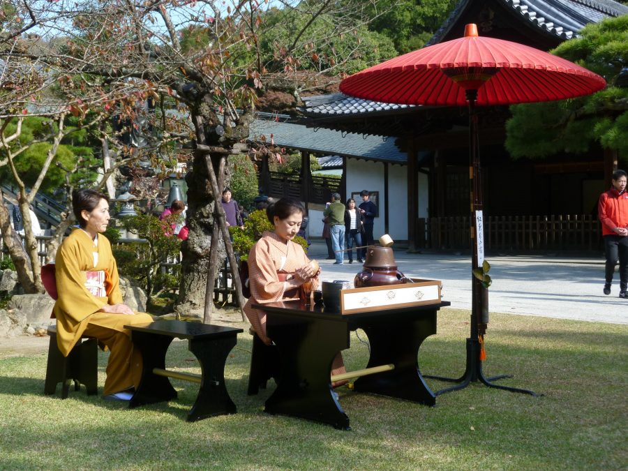 桜の下での野点（令和元年の秋の茶会）