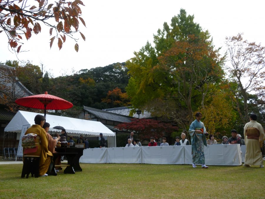 大イチョウの下で（令和元年の秋の茶会）