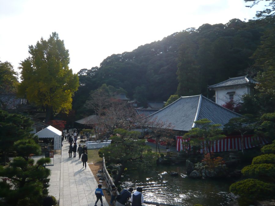 秋の茶会と紅葉