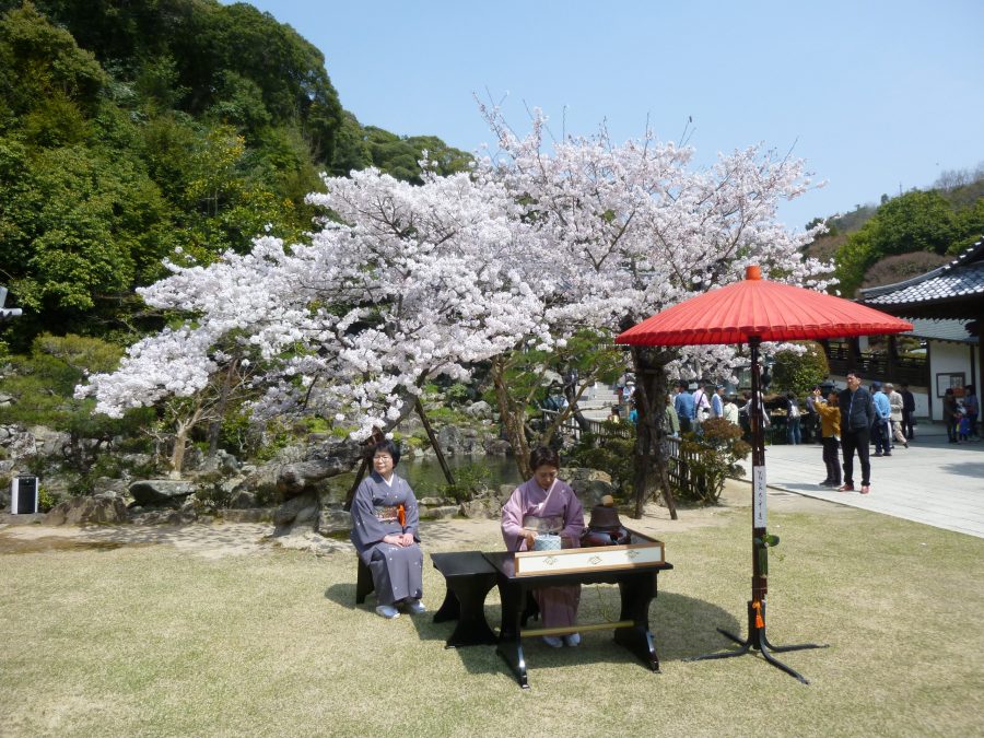 令和元年の春の茶会