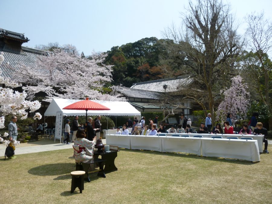 令和元年の春の茶会