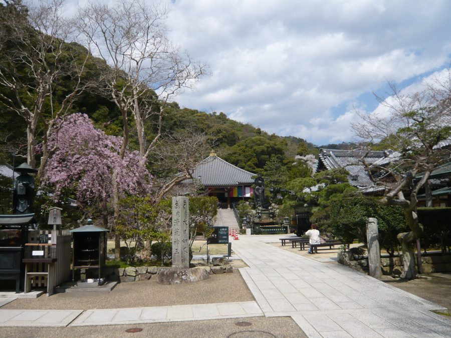 境内の桜