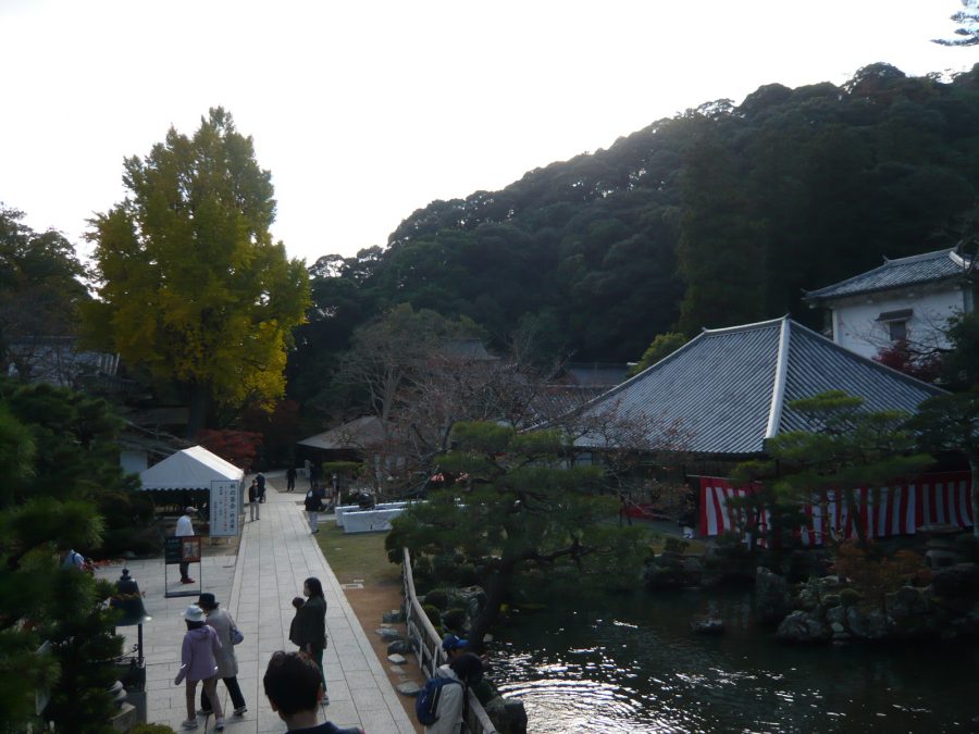 秋の茶会の全景
