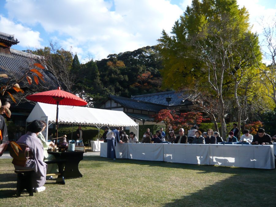 大イチョウの下でのお茶会