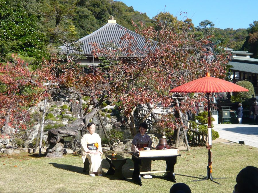 色付いた、池苑、本堂が背景の野点席