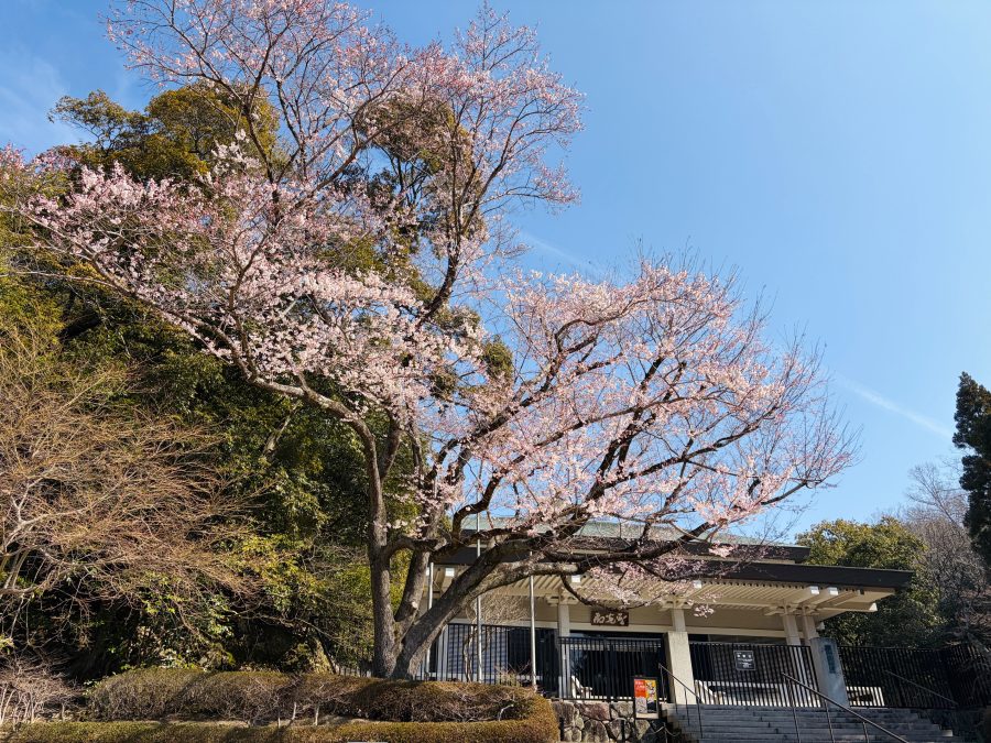 2026年3月24日現在