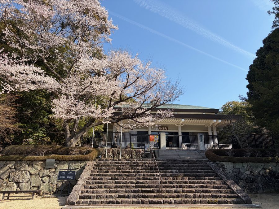 2026年3月27日現在