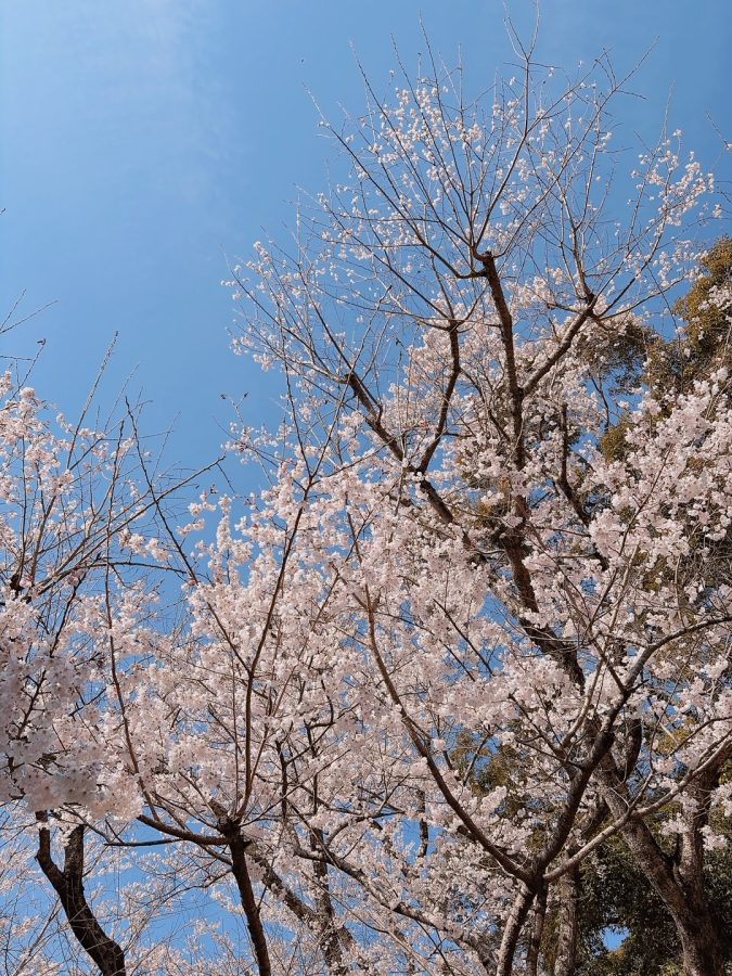 2026年3月27日現在