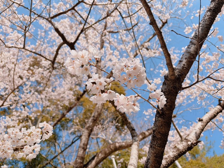 2026年3月27日現在