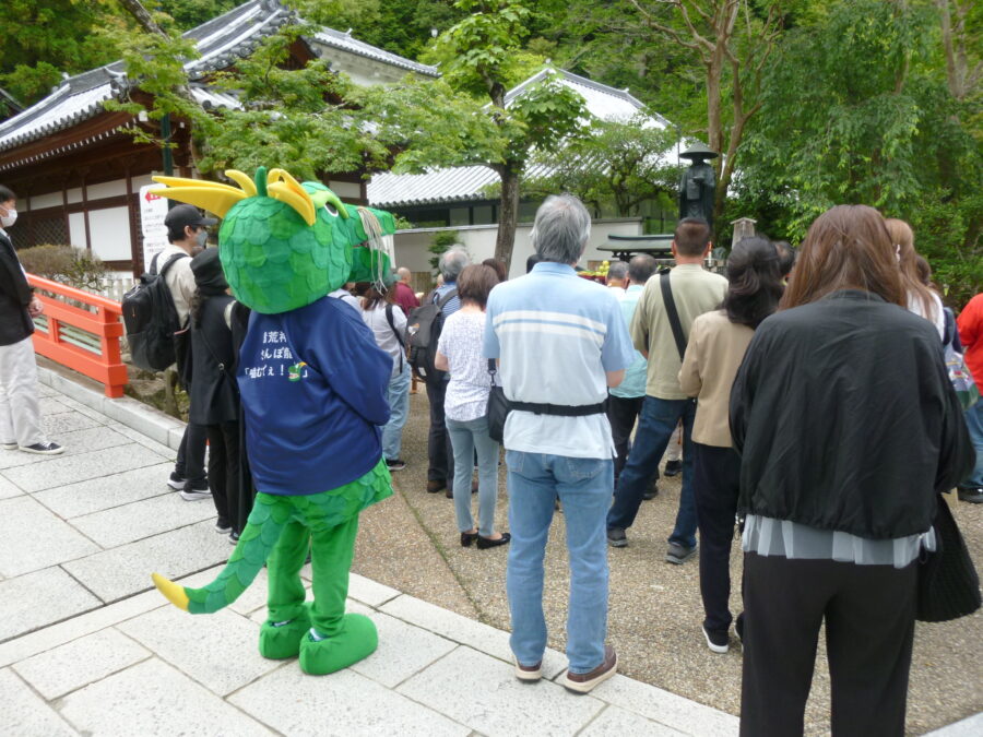 さんぽリュウもお参りに